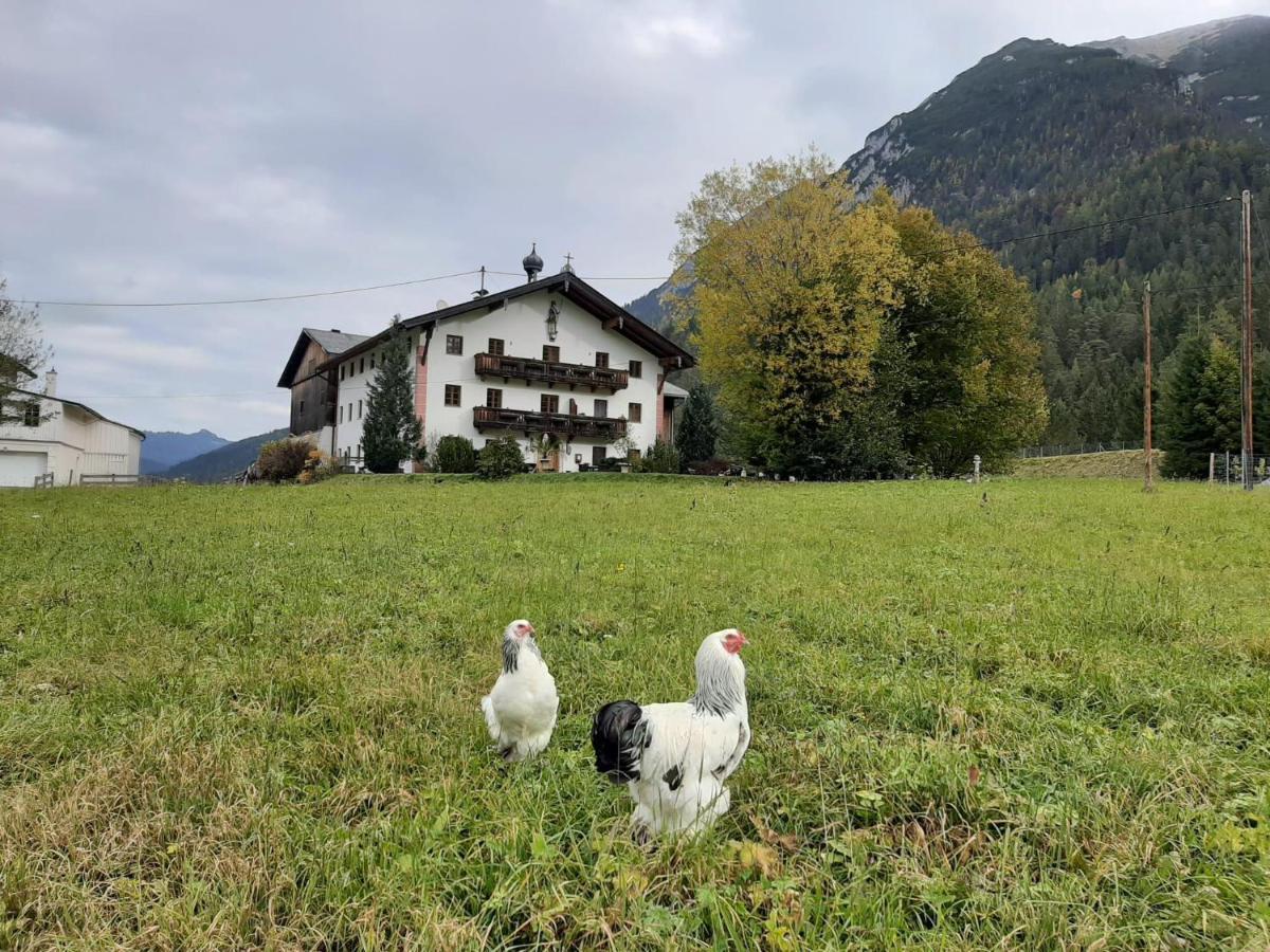 Pulvererhof Achenkirch Exteriör bild