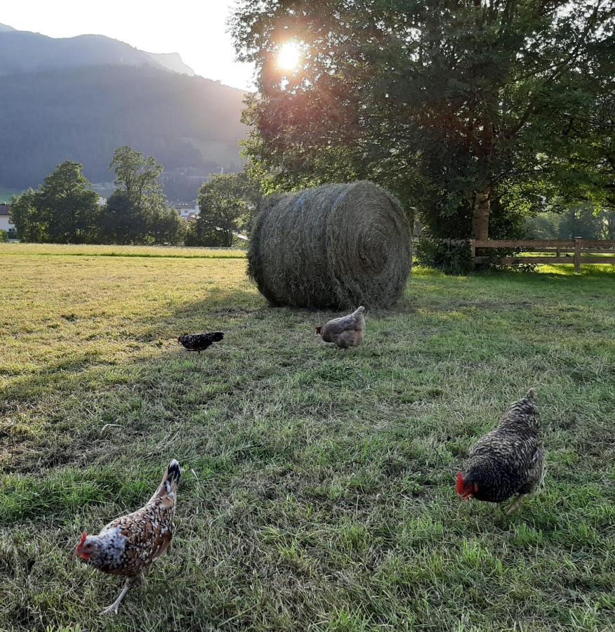 Pulvererhof Achenkirch Exteriör bild
