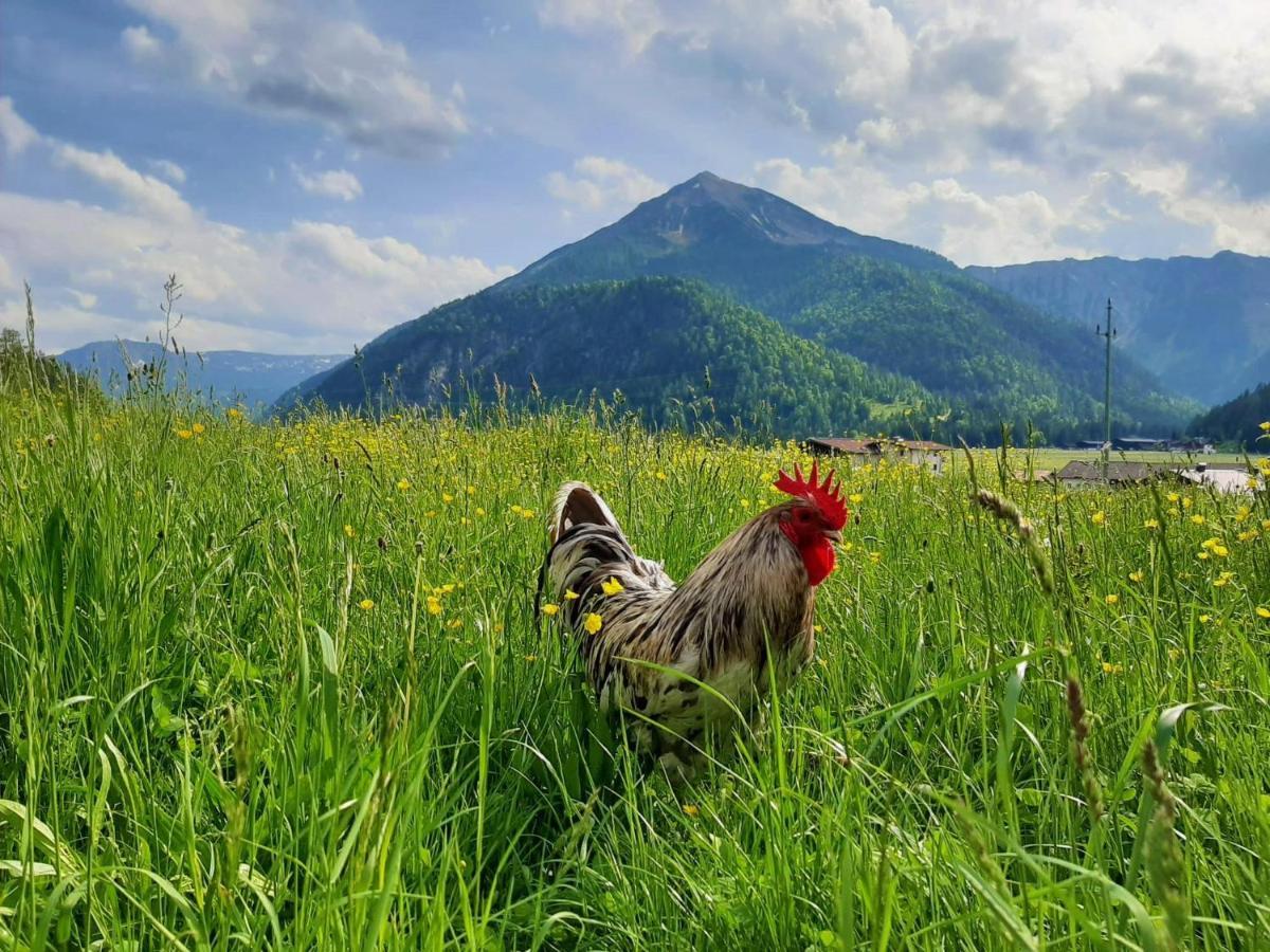 Pulvererhof Achenkirch Exteriör bild