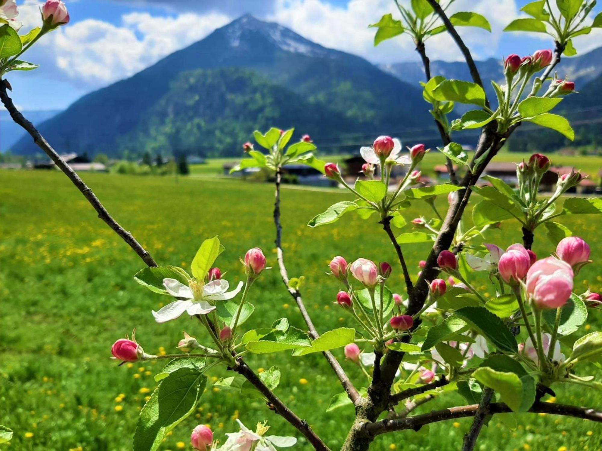 Pulvererhof Achenkirch Exteriör bild