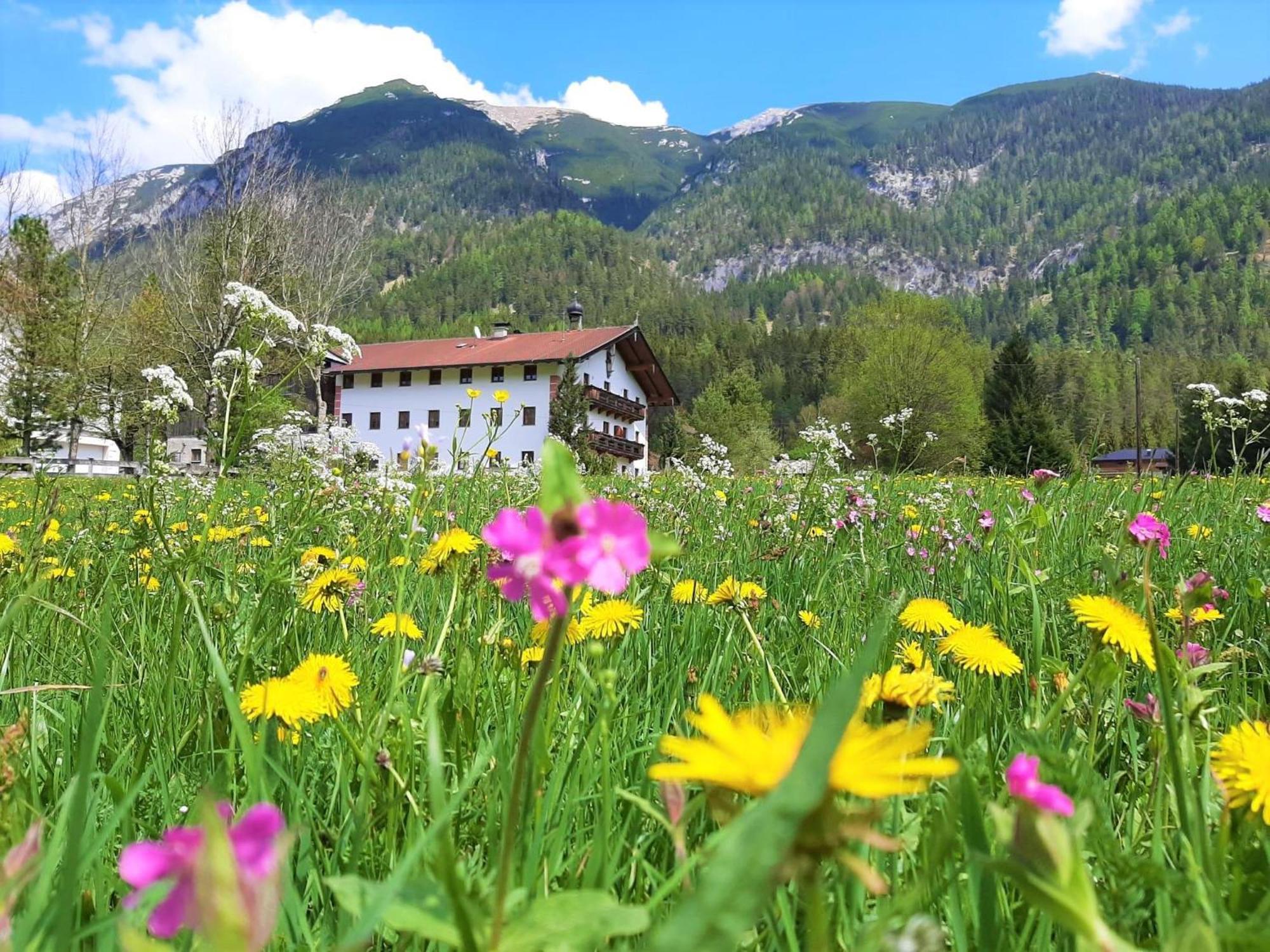 Pulvererhof Achenkirch Exteriör bild