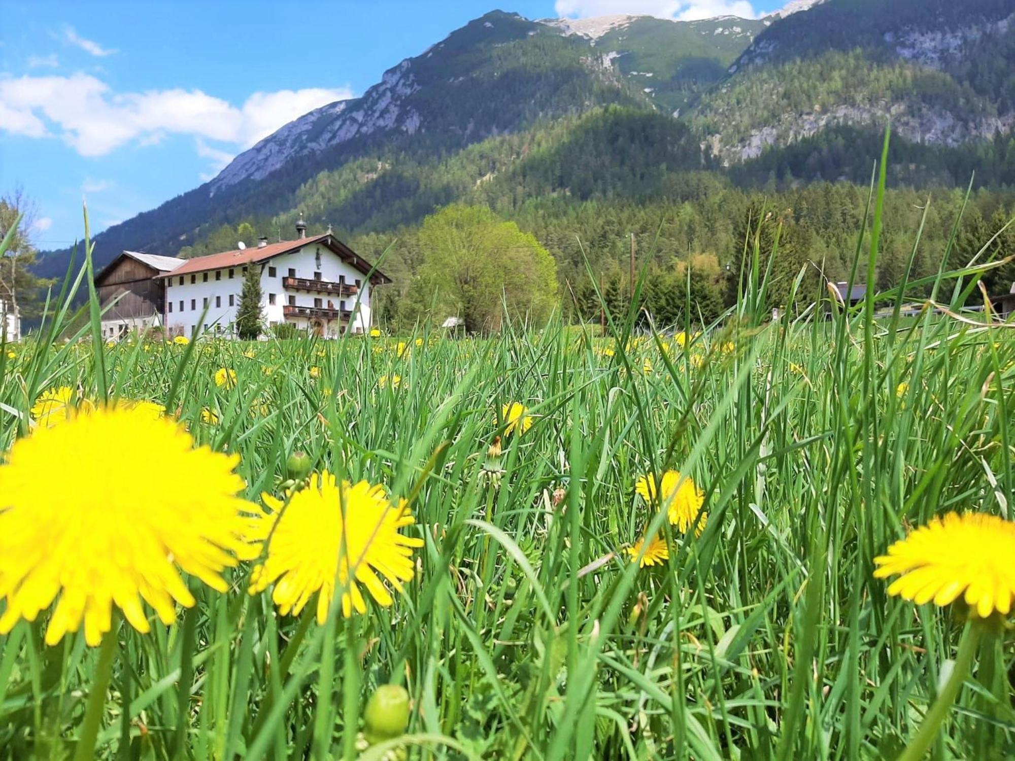 Pulvererhof Achenkirch Exteriör bild